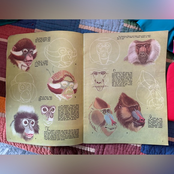 Vintage art book - Animal Expressions - Picture 3 of 3